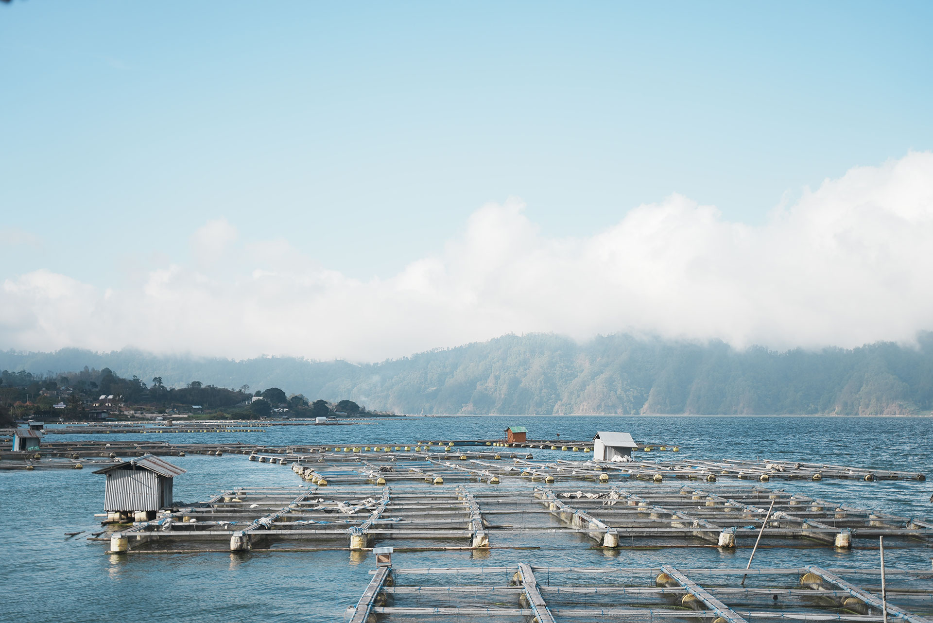 One Day Kintamani Tour: Where Should You Go?