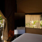 kintamani glamping