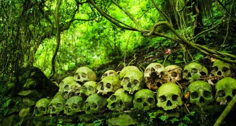 Trunyan Cemetery Bali | Cemetery at Trunyan Village | Blog by Tan's Estate | tansestate.com