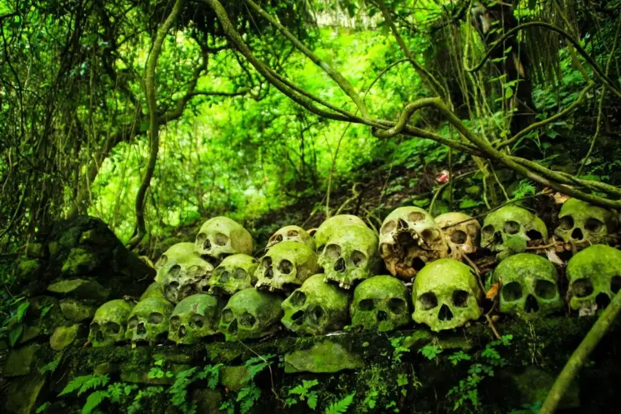 Trunyan Cemetery Bali | Cemetery at Trunyan Village | Blog by Tan's Estate | tansestate.com